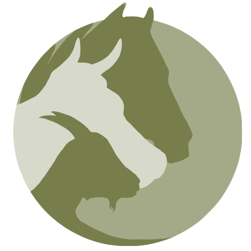 Großtierpraxis Freiburg