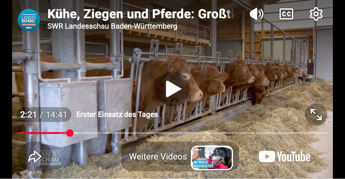 Video laden: 