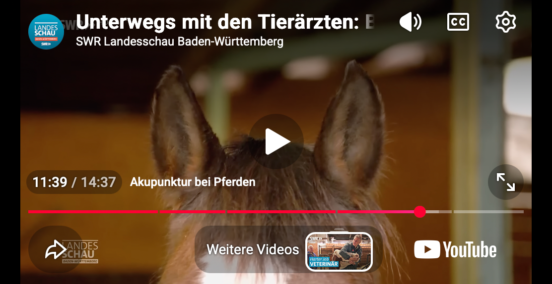 Video laden: 