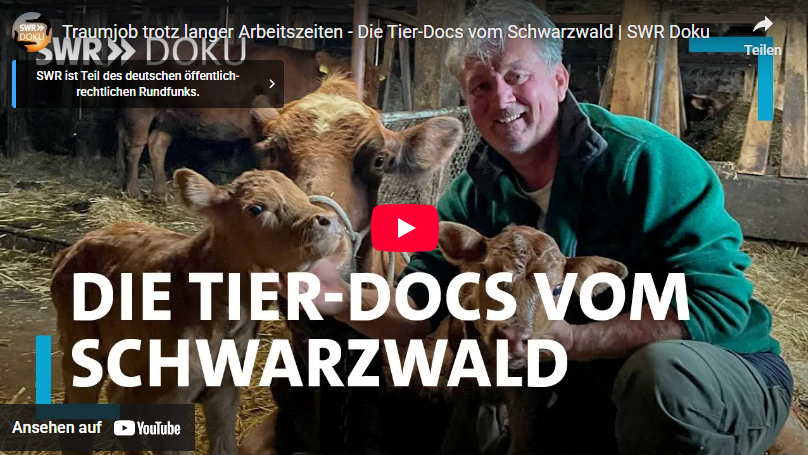 Video laden: 